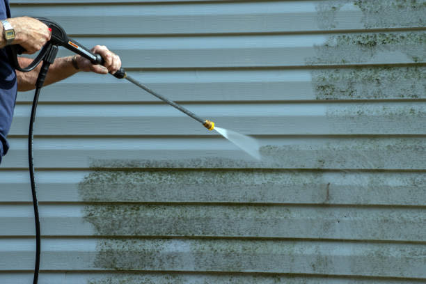 Best Dumpster Area Cleaning  in Paris, IL