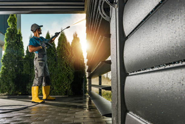 Best Gutter Cleaning  in Paris, IL