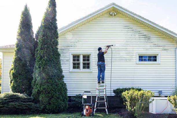 Best Spring Cleaning  in Paris, IL